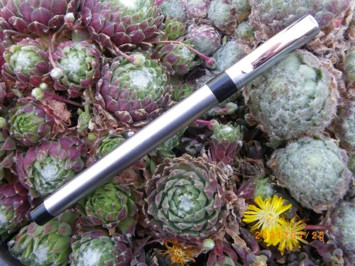 Stylo roller waterman laureat - ,