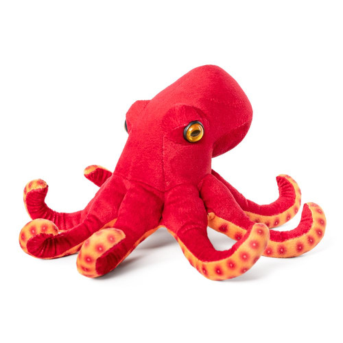 Peluche pieuvre mer cm - pieuvre, 24