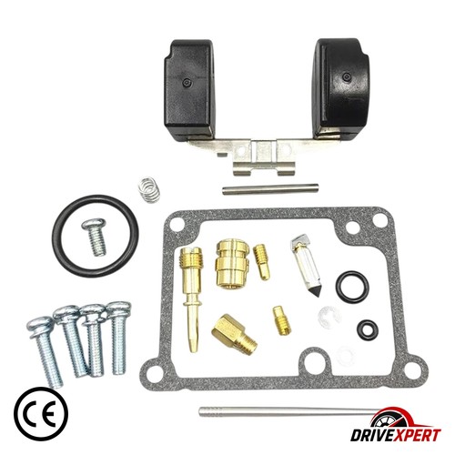 Kit carburateur 2 flotteurs - carburateur,