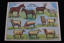 R198 Affiche scolaire papier MDI 7 ANIMAUX FERME ane mouton 8 FUMIER 91*68 cm