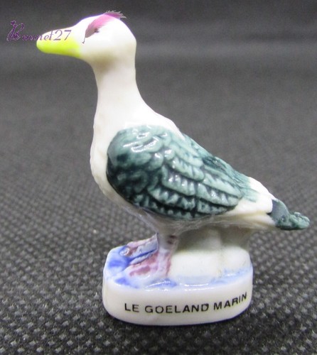 Fève oiseau bord de - un, mer