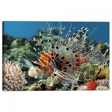 Cadre D'Impression Sur Toile