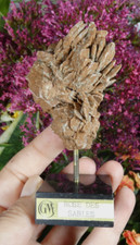 Gypse Rose des Sables sur