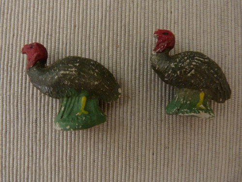 Deux dindons la - dindons, ferme