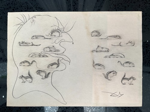 Salvador dali dessin sur - salvador,