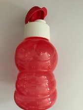 GOURDE ENFANT 310 ML ECO KID