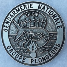 Insigne Parachutiste