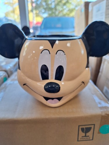 Disney mickey mouse flower - disney's,