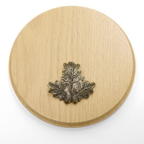 Plaque sanglier rond - sanglier,