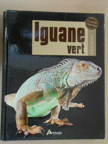 Iguane vert editions artémis - vert,