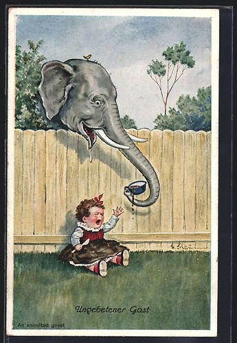 Carte postale éléphant