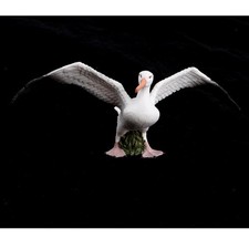 Figurine De Simulation De