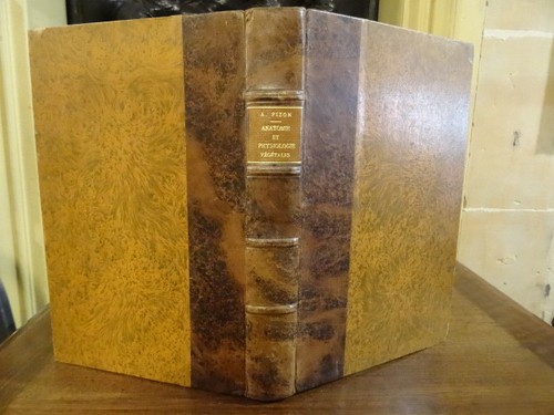 Anatomie physiologie - et,