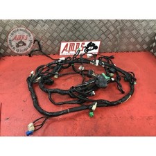 Faisceau électrique