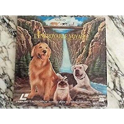 Jeu incroyable voyage - jeu,