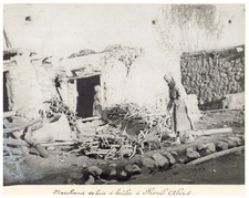 Persia,Marchand de bois à