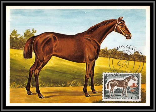 49022 836 cheval - n°836,