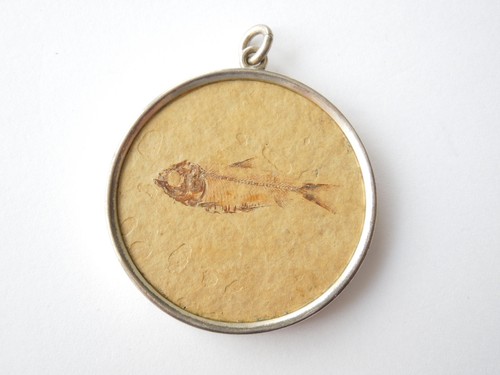 Pendentif fossil argent - fossil, en