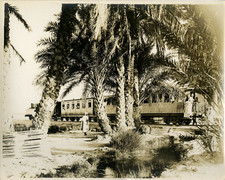 Tolga, la ligne de Chemin de