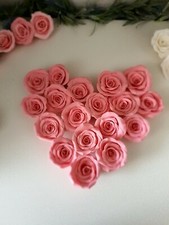 Roses à sucre 25 x 8-12 cm