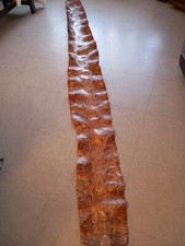 BELLE PEAU DE SERPENT. PYTHON. 3 M.