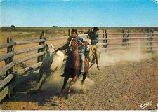 Animaux - Chevaux - Camargue -