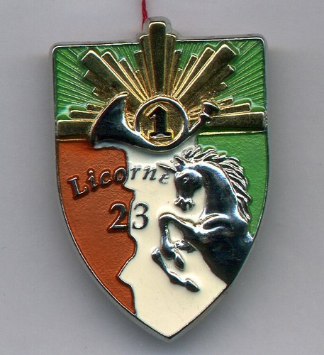 Opex régiment chasseurs - 1°,