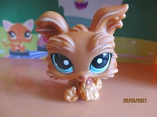 Petshop Chien Yorkshire #1407