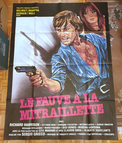 Affiche cinéma fauve - le,