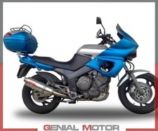 Pot d'Echappement GPR TRIOVAL