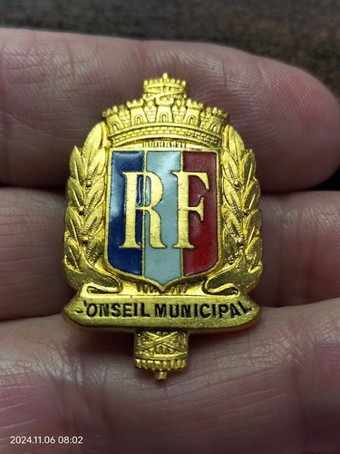 Insigne fonction conseil - fonction,
