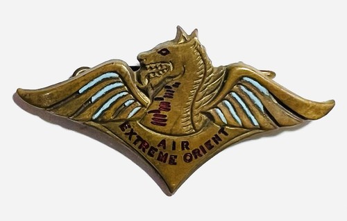 Insigne aviation extrême - aviation,