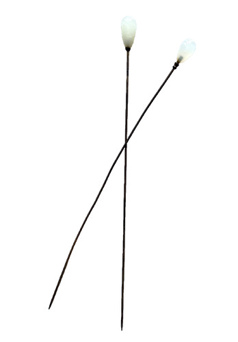 Paire aiguilles chapeau - paire, d'aiguilles