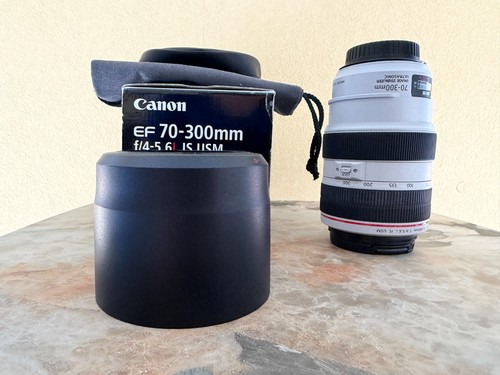 Canon 300mm 5 - canon, ef