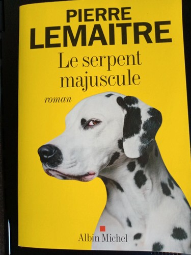 Pierre lemaitre lot livres - lemaitre,