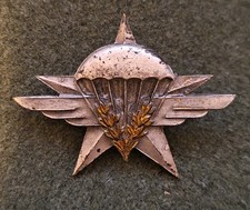 PARA METRO - INSIGNE DU 1° RCP - TYPE 3 - AUGIS LYON