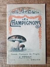 Les Champignons, vers 1920