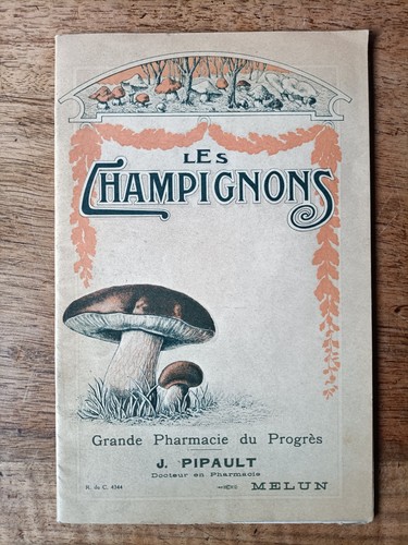 Les champignons vers - vers, 1920
