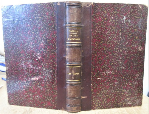 Poirier traite anatomie - poirier, d'anatomie