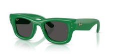 Ray Ban 4940 Wayfarer Puffer -