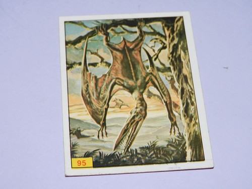 Image panini animaux - image,