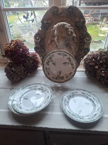 Assiettes plates - 5,
