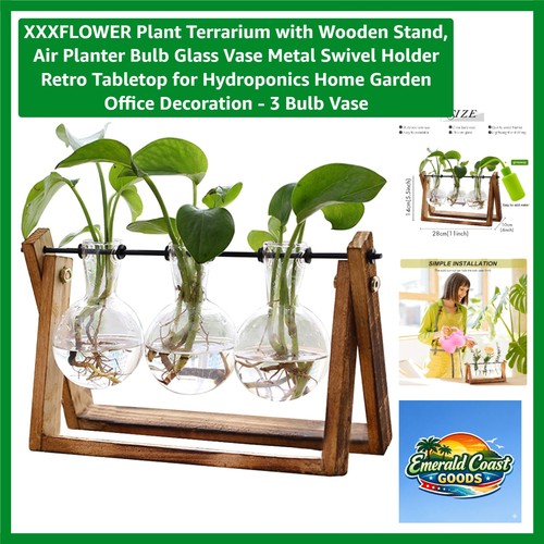 Stylish retro plant terrarium - stylish,