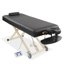 Professional Electric Lift