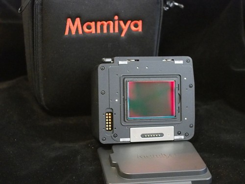 Mamiya digital back - back,