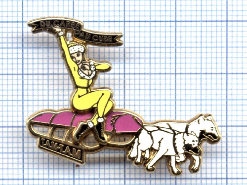 Pin's ARTHUS BERTRAND PIN UP