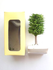 Boite Un Arbre Feuillus Avec Socle Pour Décor Aménagement de Réseau Ferroviaire