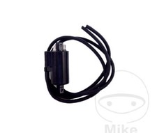 Bobine D'Allumage 12V 10258