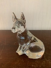 2 chiens berger allemand en