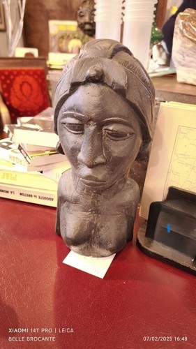 Sculpture buste ebene - buste,